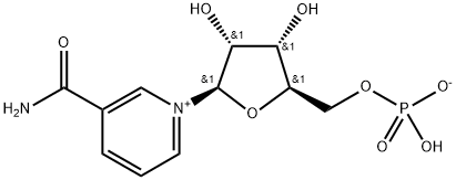 Mononucleotide β-Nicotinamide