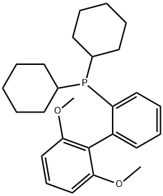 2-Déchioglaiheicsilephosfino-2',6'-démheathocsaifheinile