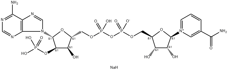 BETA-NICOTINAMIDE Adainín DÚICLEOTÍD SAILL Sóidiam Fosfáit