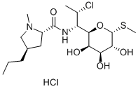 Hidreaclóiríd Clindamycin