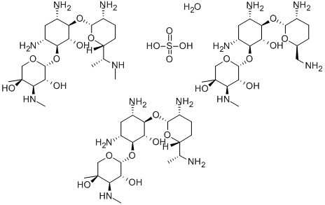 Sulfáit Gentamycin