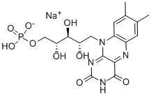 Ribeaflaivin 5'-Monophosphate Salann Sóidiam