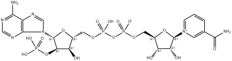 Núicléitíd triphosphopyridine