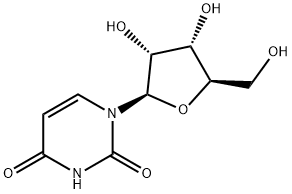 Uidín